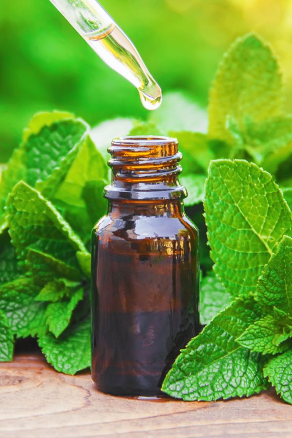 Peppermint Oil