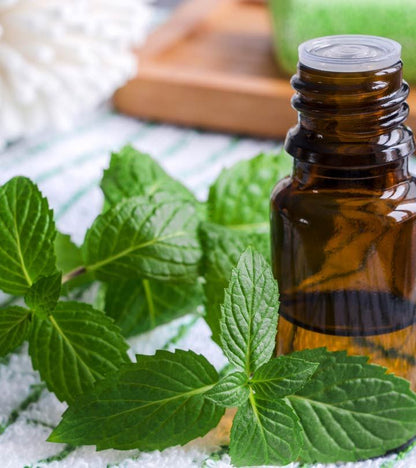 Peppermint Oil